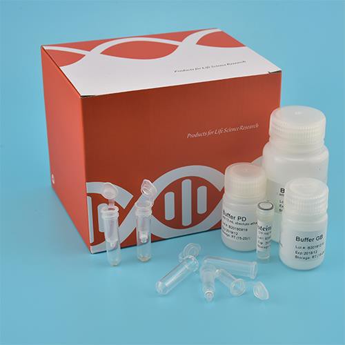 Kit d'ADN genòmic de tampó bucal (columna de rotació)