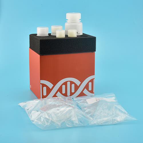 Kit d'ADN de purificació de gel (columna de rotació)