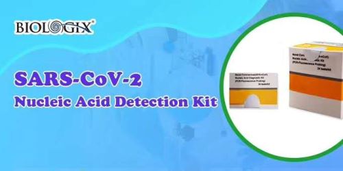 Kit de detecció d’àcids nucleics SARS-CoV-2
