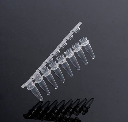 0.2ml PCR Tubes/PCR Plates/PCR Strip Tubes