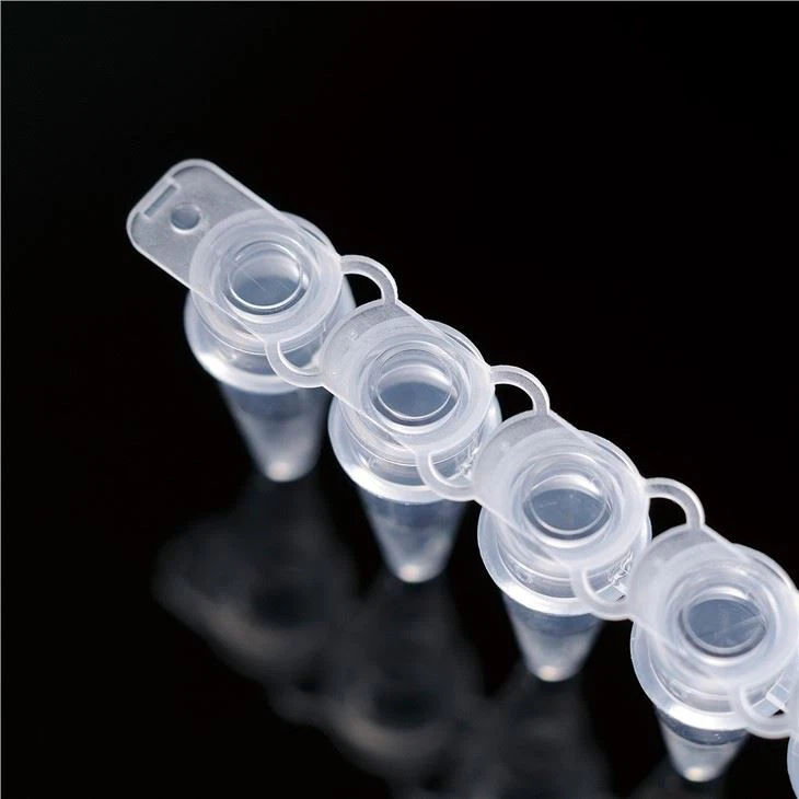 0.2ml 8 Strip PP Material PCR Tubes With Flat Cap For Laboratory Use