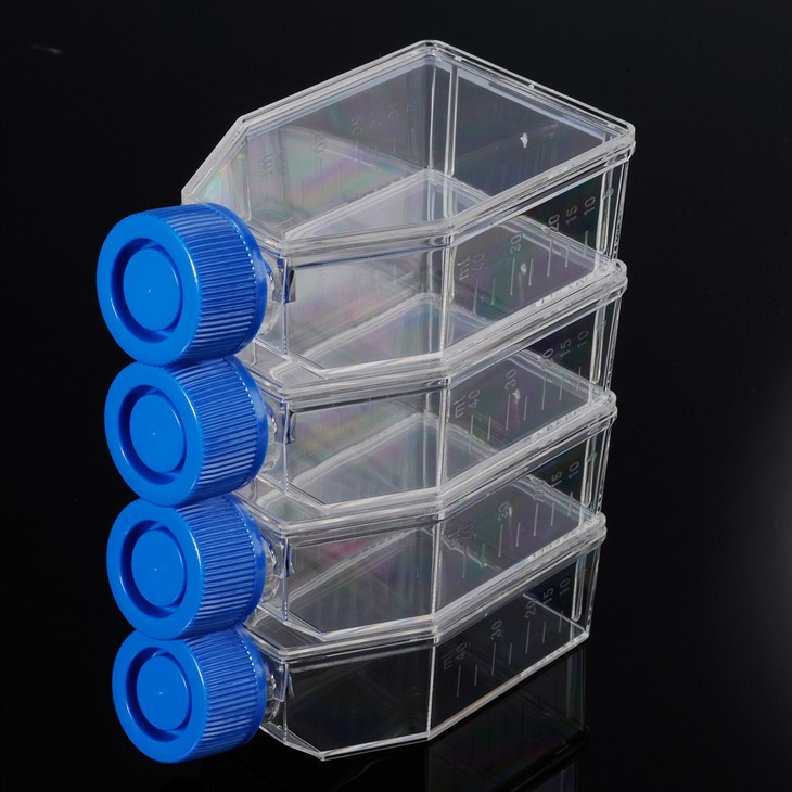 Cell Culture Flask