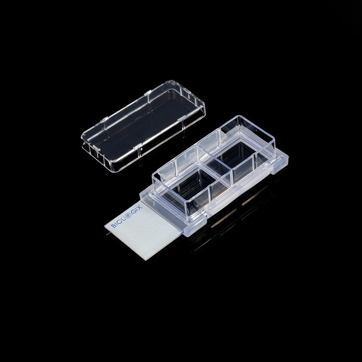 Microscope Transparent Chamber Numbering Cell Culture Slide