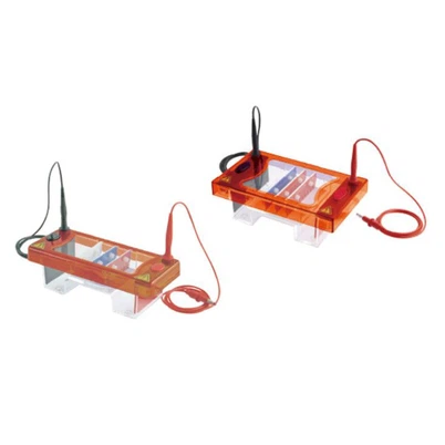Fàbrica de proveïdors de màquines d'electroforesi 丨 Biologix